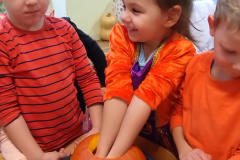 IMG_20231031_094310215_BURST001_COMP
