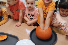 IMG_20231031_094415645
