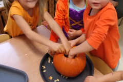 IMG_20231031_094627984_BURST000_COVER