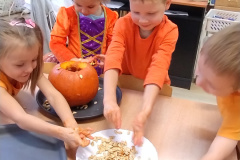 IMG_20231031_094644454_BURST000_COVER