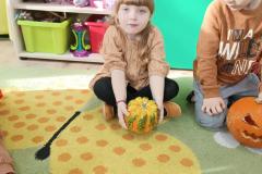 IMG_20241031_092345