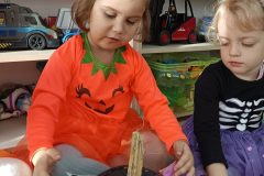 IMG_20241031_092600
