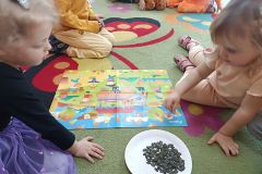IMG_20241031_094051