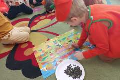 IMG_20241031_094313