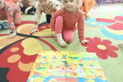 IMG_20241031_094717