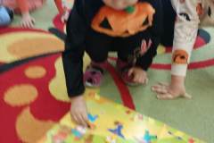 IMG_20241031_095005