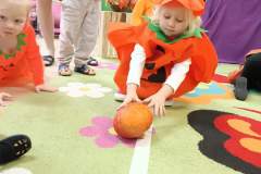 IMG_20231031_092618