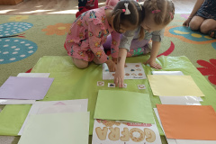 IMG_20250325_092750