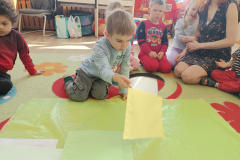 IMG_20250325_093613