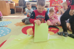IMG_20250325_093946