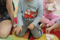 IMG_20250325_094618