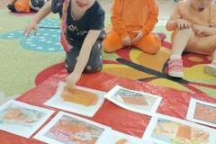IMG_20240404_091011