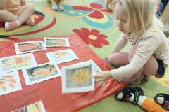 IMG_20240404_091158