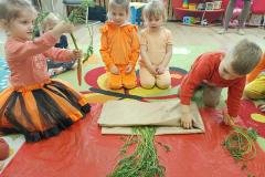 IMG_20240404_091528