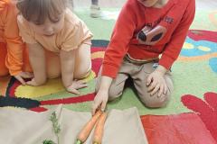 IMG_20240404_091600