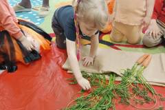 IMG_20240404_091619