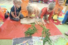 IMG_20240404_091741