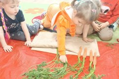 IMG_20240404_091754