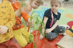 IMG_20240404_091902