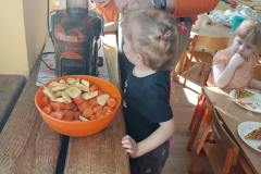 IMG_20240404_095602