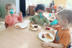 IMG_20240404_100342