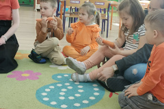 IMG_20250404_092121