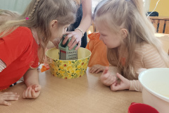 IMG_20250404_100256