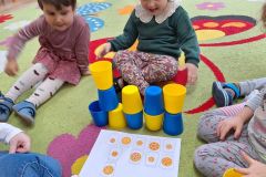 IMG-20240226-WA0135