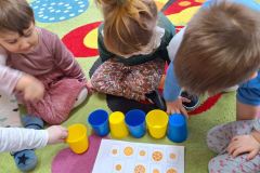 IMG-20240226-WA0137