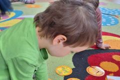IMG-20240226-WA0148