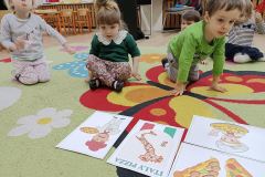 IMG_20240209_094708