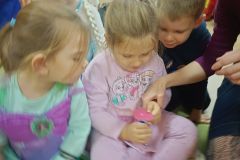 IMG_20241105_092513