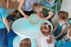 IMG_20240322_090120871