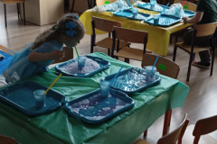 IMG_20240322_093404824