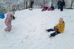 IMG_20250214_120746572