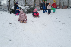 IMG_20250214_120904048