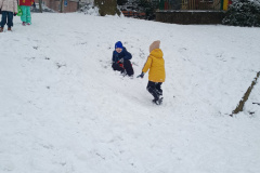 IMG_20250214_120905924