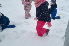 IMG_20250214_121012454_HDR