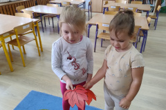 IMG_20240923_094806200