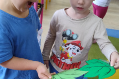 IMG_20240923_094839657