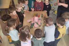IMG-20250226-WA0017