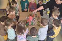 IMG-20250226-WA0020