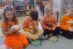 IMG_20251031_094512240