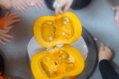 IMG_20251031_094828748_MF_PORTRAIT