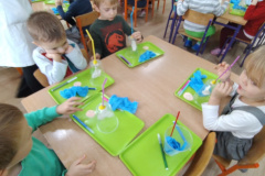 IMG_20241014_110307693