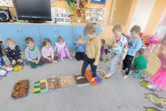 IMG_20250305_094129605