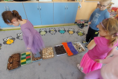 IMG_20250305_094658843