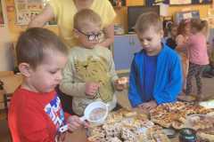 IMG-20250509-WA0031