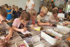 IMG-20250605-WA0042