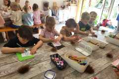 IMG-20250605-WA0052
